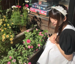 シャッツキステ メイド 同人誌