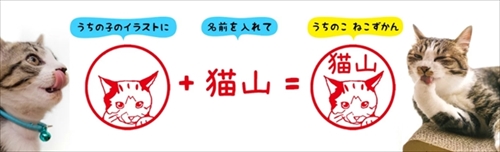 うちのこ ねこずかん