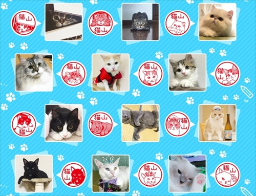 うちのこ ねこずかん