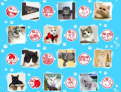 うちのこ ねこずかん