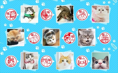 うちのこ ねこずかん