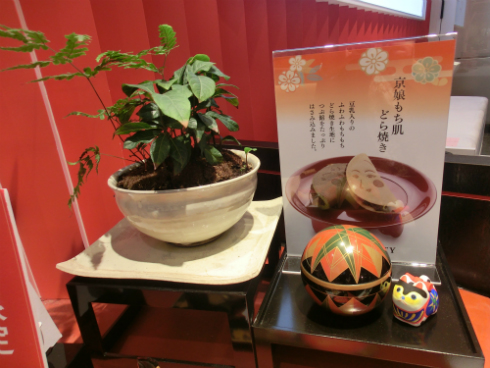 京都ビューティー