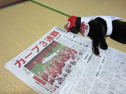 カープ 応援 コスプレ 黒 猫 チョコラ