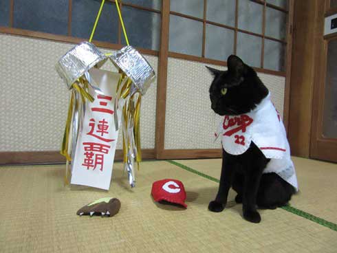 カープ 応援 コスプレ 黒 猫 チョコラ