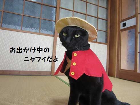 カープ 応援 コスプレ 黒 猫 チョコラ