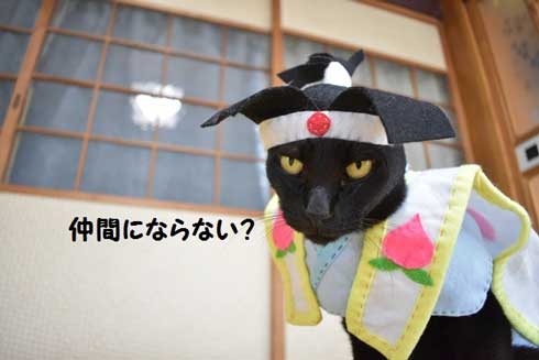 カープ 応援 コスプレ 黒 猫 チョコラ