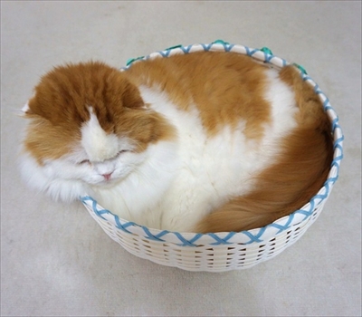 なめネコれおくんピーチくん