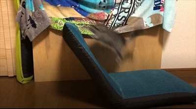 チンチラのまりもくん