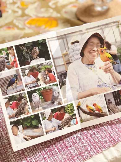 祖母 拉致 おばあちゃん 掛川花鳥園 写真集 3世代女子ぶらり旅 感動 孫