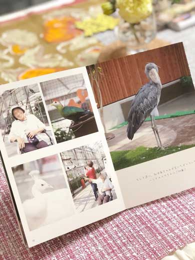 祖母 拉致 おばあちゃん 掛川花鳥園 写真集 3世代女子ぶらり旅 感動 孫