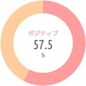 {'type':'pie'、'data':{'labels':['ポジティブ'、'ネガティブ']、'datasets':[{'data':[57.5、42.5]、'backgroundColor':['rgba(255、115、116、.7)'、'rgba(255、183、116、.7)']、'borderWidth':[0、0]}]、'illust':0}}
