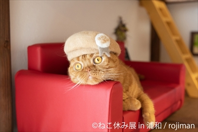 ねこ休み展・浦和