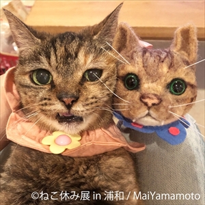 ねこ休み展・浦和