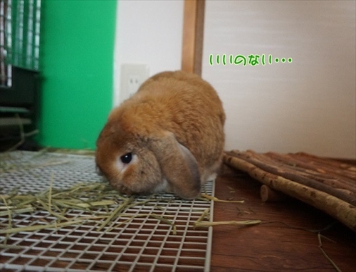 もんじももじじ