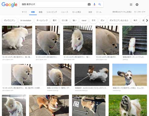 強風に煽られる犬 粘土細工 ポメラニアン 流線型 2足歩行