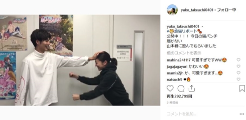 竹内結子 旅猫リポート 映画 山本涼介 福士蒼汰 広瀬アリス