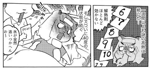 さんじろ 菊池病 高熱