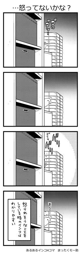 インコ 4コマ 漫画 あるある まったくモー助 こまちゃん