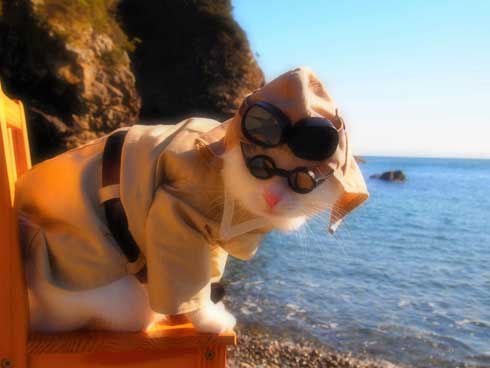 ジブリ 猫 コスプレ 紅の豚 もののけ姫 徳島 観光地