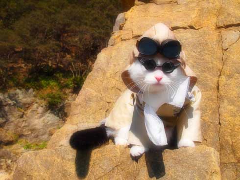ジブリ 猫 コスプレ 紅の豚 もののけ姫 徳島 観光地