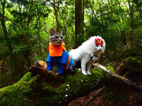 ジブリ 猫 コスプレ 紅の豚 もののけ姫 徳島 観光地