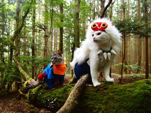 ジブリ 猫 コスプレ 紅の豚 もののけ姫 徳島 観光地
