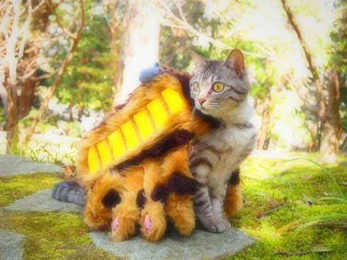 ジブリ 猫 コスプレ 紅の豚 もののけ姫 徳島 観光地