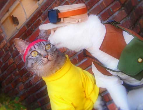 ジブリ 猫 コスプレ 紅の豚 もののけ姫 徳島 観光地
