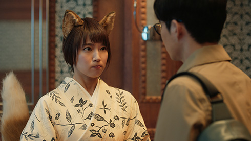 どん兵衛 星野源 吉岡里帆 どんフォックス CM 日清食品