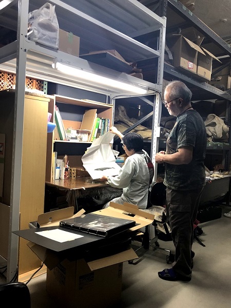 国立科学博物館 「世界の鯨」ポスター