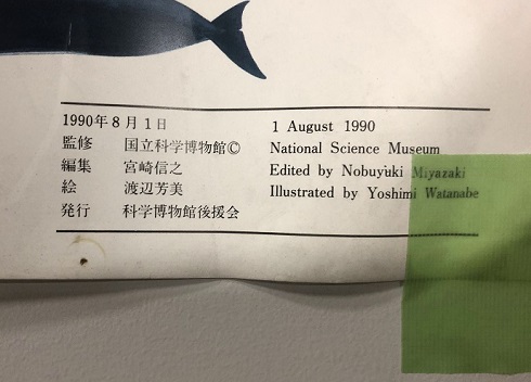 国立科学博物館　「世界の鯨」ポスター