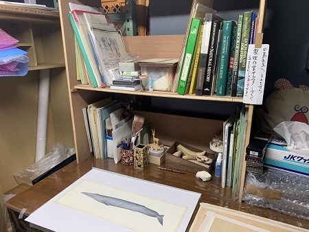 国立科学博物館　「世界の鯨」ポスター