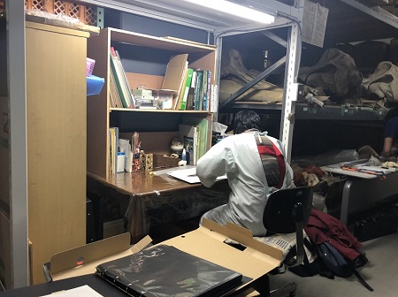 国立科学博物館　「世界の鯨」ポスター