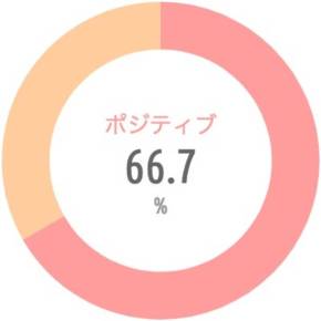 {'type':'pie'、'data':{'labels':['ポジティブ'、'ネガティブ']、'datasets':[{'data':[66.7、33.3]、'backgroundColor':['rgba(255、115、116、.7)'、'rgba(255、183、116、.7)']、'borderWidth':[0、0]}]、'illust':0}}