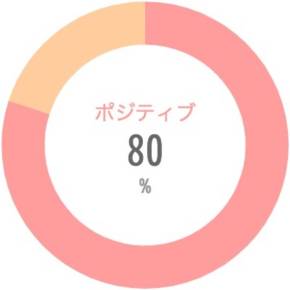 {'type':'pie'、'data':{'labels':['ポジティブ'、'ネガティブ']、'datasets':[{'data':[80、20]、'backgroundColor':['rgba(255、115、116、.7)'、'rgba(255、183、116、.7)']、'borderWidth':[0、0]}]、'illust':0}}