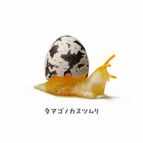 カスツムリ05