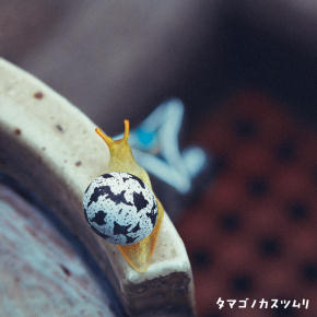 カスツムリ08