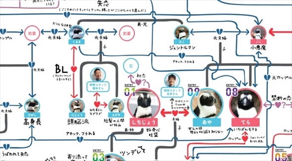 京都水族館ペンギン相関図