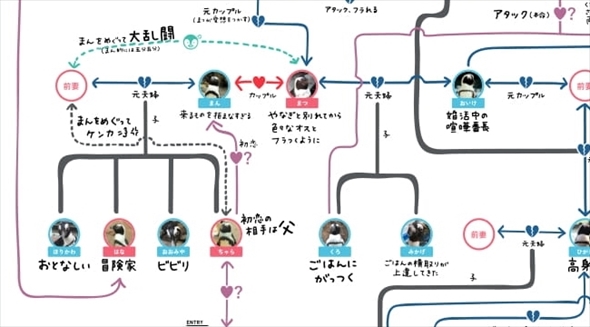 京都水族館ペンギン相関図
