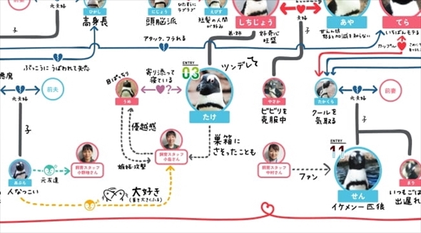 京都水族館ペンギン相関図