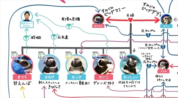 京都水族館ペンギン相関図