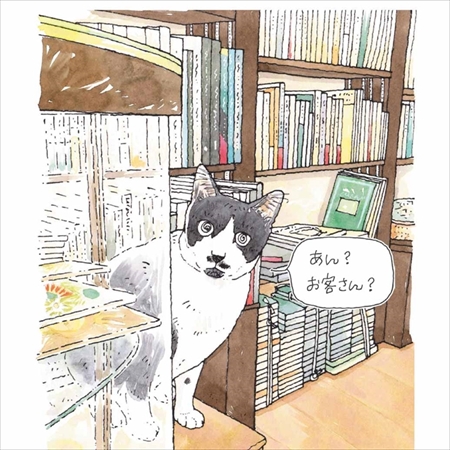 東京猫びより散歩