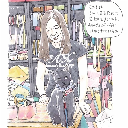 東京猫びより散歩