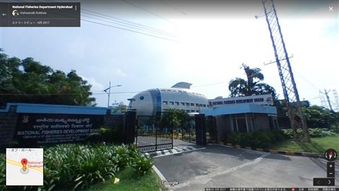 インドの国家漁業開発庁の建物がサカナすぎる　「かわいすぎ」「偽写真かと思ったら本物だった」と驚きの声