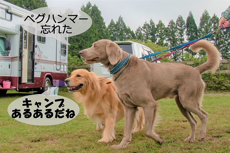 こー君　コスプレ