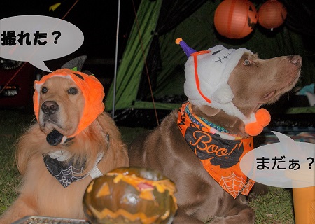 こー君　コスプレ