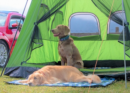 こー君　コスプレ