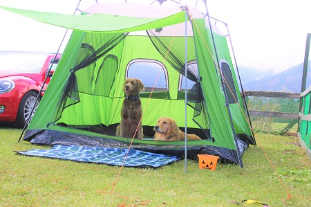 こー君　コスプレ