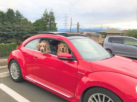 こー君　コスプレ