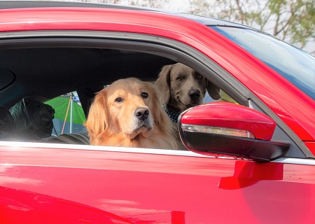 こー君　コスプレ